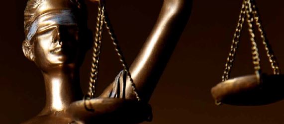 family law specialist