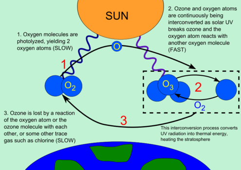 Scientists find four new man-made gases that harm ozone layer