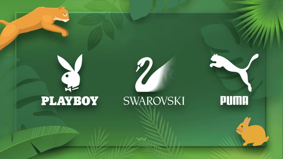 animal logo design guide
