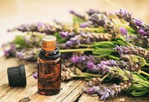 Essential Oils, Essential Oils Market, Essential Oils Market Outlook, Essential Oils Market Overview, Essential Oils Market Analysis, Essential Oils Market Insights, Essential Oils Market Type, Essential Oils Market Size, Essential Oils Market Share, Essential Oils Market Trends, Essential Oils Market Analysis Report, Essential Oils Research Report, Essential Oils Business Research, Essential Oils Market Research Report