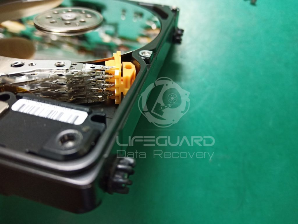lifeguard-Data-Recovery-Services-in-Bangalore