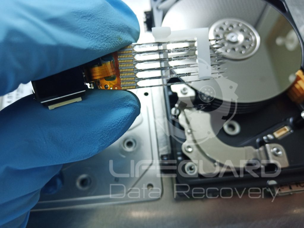 lifeguard-Data-Recovery-Services-in-Gujarat.jpg