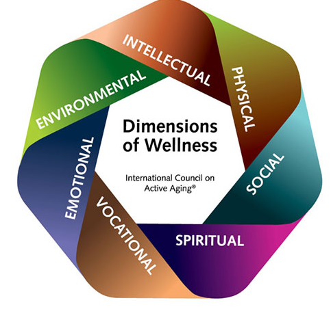 seven dimension of wellness