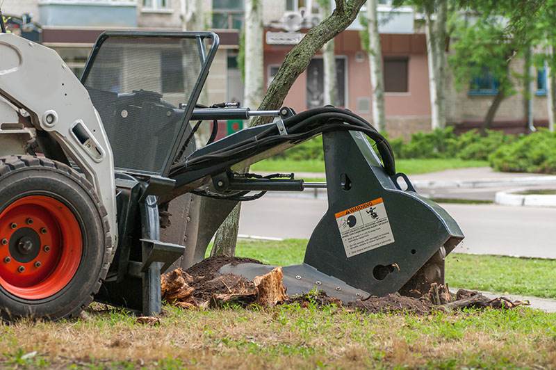 stump grinding las vegas