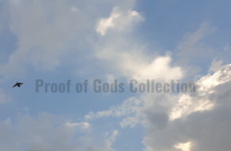 Navigating the Spiritual Resurgence: A Journey into Divine Synthesis and Proof of Gods Collections