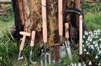 Cultivating Tranquility: The Art of Japanese Gardening