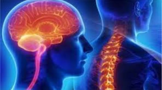 Top Neurosurgeon in India: Internationally Recognized for Neurosurgery and Spine Care