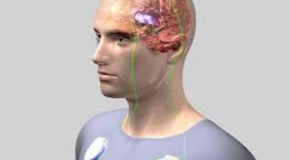 DBS Treatment in India: Transforming Lives with Brain Pacemaker