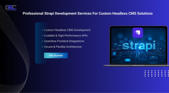 Professional Strapi Development Services for Custom Headless CMS Solutions