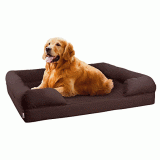 5 Best Dog Beds Worth Buying in 2020