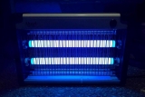 Are You Thinking Of Making Effective Use Of Best bug zappers?