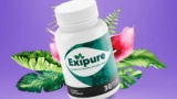 Are You Curious To Know About Exipure Review