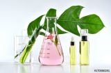 Thermal Spray Coatings Market  Key Players And Production Information Analysis With Forecast 2025