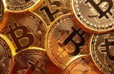 Meilleurs Brokers – An Important Source Of Information