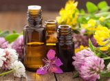 The Use of Essential Oils in Aromatherapy