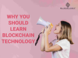 WHY YOU SHOULD LEARN BLOCKCHAIN TECHNOLOGY