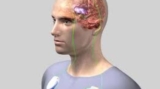 DBS Treatment in India: Transforming Lives with Brain Pacemaker