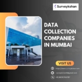 Unveiling Mumbai’s Data Collection Companies: Navigating the Information Landscape