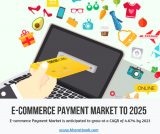 E-commerce Payment Market: Global Analysis & Forecast 2025