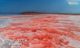 Dunaliella Salina Market to Hit $ 122.9  Million 122.9  Mn and emergent at growth rate of 4% by 2028