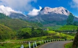 Embarking on a Wildlife Adventure: Exploring Thekkady from Mumbai with Kerala Tour Packages