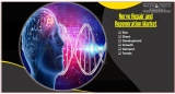 What is the Market Opportunities, Risk and Overview of the  Nerve Repair and Regeneration Market ?