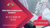 Protein Expression Market 2022 Trend And Forecast 2027