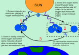 Scientists find four new man-made gases that harm ozone layer
