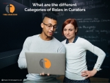 What are the different Categories of Roles in Curators