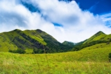 Embarking on an Enchanting Journey: Wayanad, Kerala