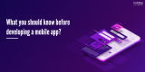 What You Should Know Before Developing A Mobile App?