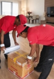 The Causeway Shift: Your Guide to Moving via the RTS Link