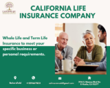 Effective Tips To Become a Successful Life Insurance Agent in Fresno