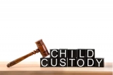 Michigan Child Custody Lawyer – Many Different Types To Choose From