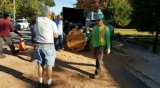 Winter Tree Removal Service in Arlington, VA
