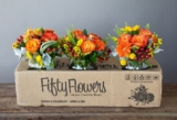 FiftyFlowers Is a Great Fresh Roses Wholesaler