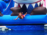 Graceland Bounce Delivers the Best Inflatable Rentals