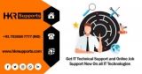 Remote resource | Online Job Support