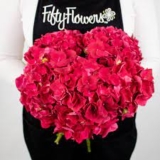 FiftyFlowers Offers the Best Ways to Buy Hydrangeas in Bulk