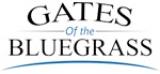 Increase Your Safety By Installing Security Gates
