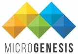 IT Service Management Services – MicroGenesis TechSoft