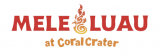 Award-Winning Hawaiian Choreographers Launch Theatrical Luau Love Story