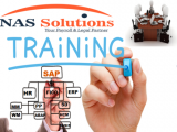 Sap Fico Training in Lucknow