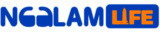 Ngalam Life Will Help You Find Reliable Info