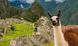 Perusabe Offers the Best Travel Tips on Peru