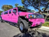 Exploring Melbourne: Sightseeing in Comfort and Luxury with Maya’s Pink Limo Hire