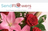 Send Gift Baskets n Flowers with Fast Shipping Lucrative as Christmas Gifts to France!