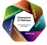 what are the 7 dimensions of wellness