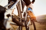 The Distinctive Paths of Triathlon Coaching and Cycling Coaching
