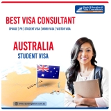 How to Choose the Best Overseas Education Visa Consultant in Chandigarh?